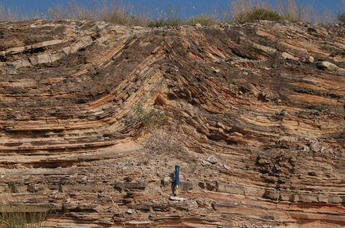 anticline