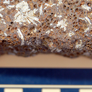 porphyritic texture