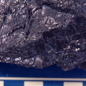 Coal