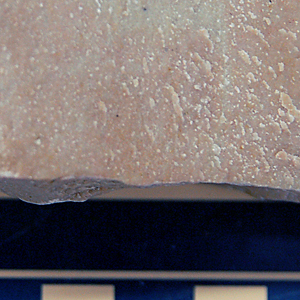 Micrite (Limestone)