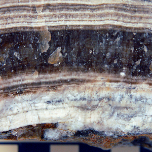 Travertine (Limestone)