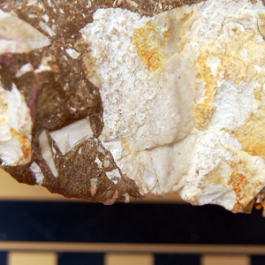 Breccia