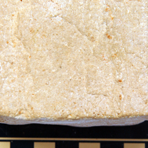 Siltstone