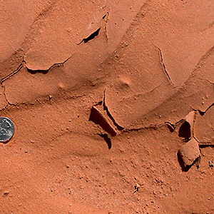 Mudstone